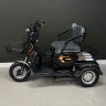 Электротрицикл IKINGI Pass-Trike 1000W