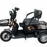 Электротрицикл IKINGI Pass-Trike 1000W