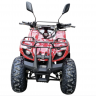 Детский электроквадроцикл GreenCamel Атакама T320 1000W R8 42Ah