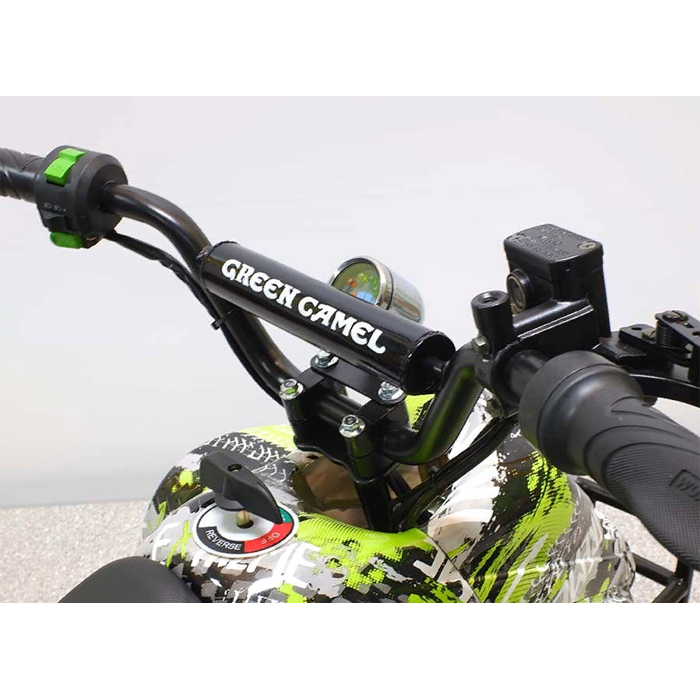 Детский электроквадроцикл GreenCamel Гоби K51 800W R7 30Ah