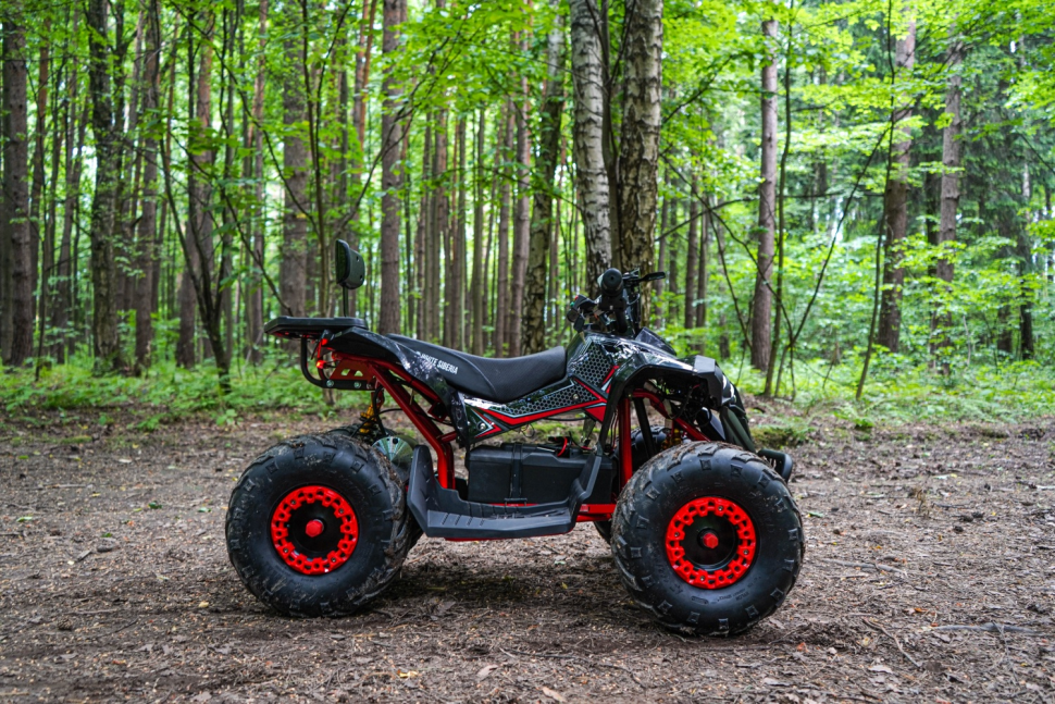 Детский электроквадроцикл WHITE SIBERIA SNEG R 1500W