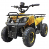 Детский электроквадроцикл GreenCamel Гоби K45 800W R6 12Ah
